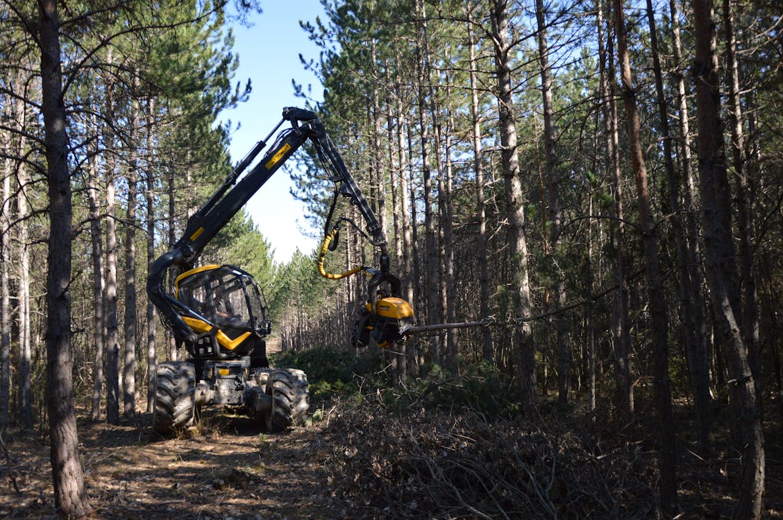 Forestry Essentials: How to Choose the Right Used Forestry Equipment for Your Business
